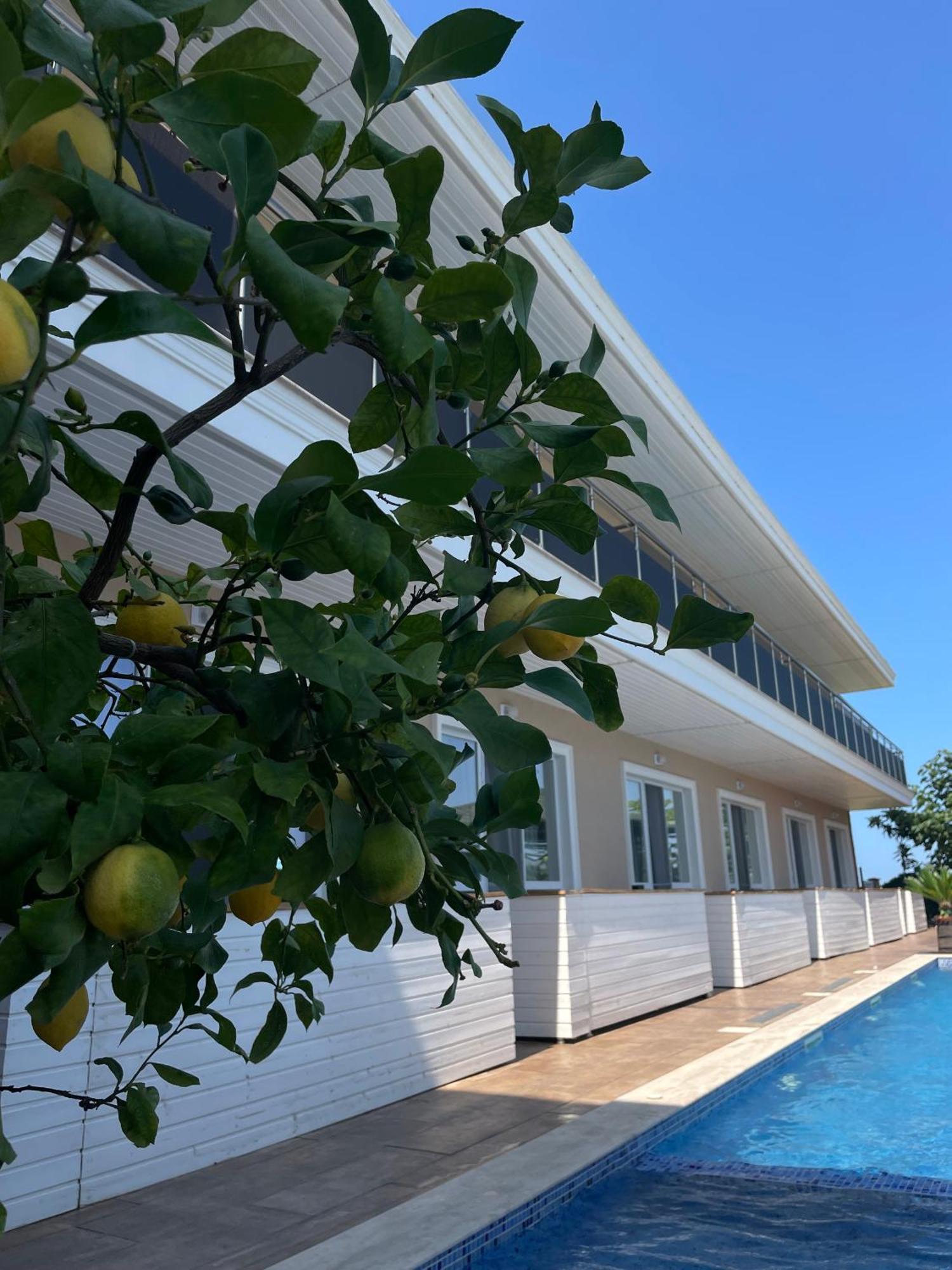 Gradina Holiday Созополь Экстерьер фото